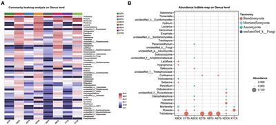 Soil microbiome of shiro reveals the symbiotic relationship between Tricholoma bakamatsutake and Quercus mongolica